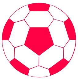 开云体育官网app-中小学体育运动技能测试方法研究，中小学体能训练方法与手段