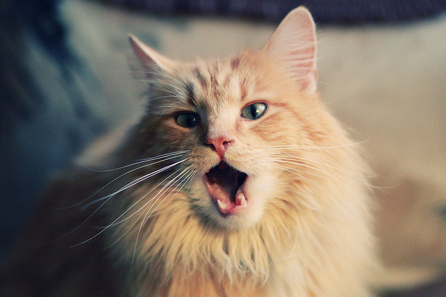 塞维利亚前场组织严密打出高效节奏，塞维利亚阵容2020主力阵容